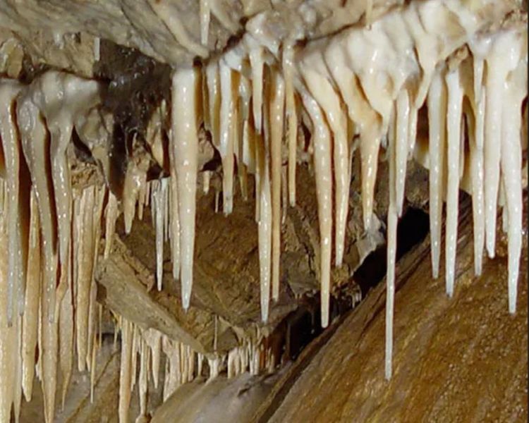 Jaskinia Niedźwiedzia|w Masywie Śnieżnika Kłodzkiego