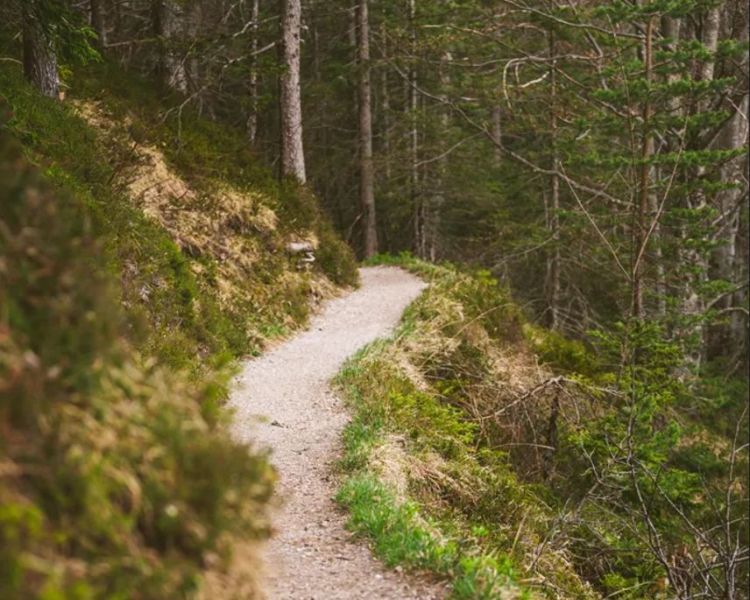 Trasy spacerowe|w Lądku-Zdroju