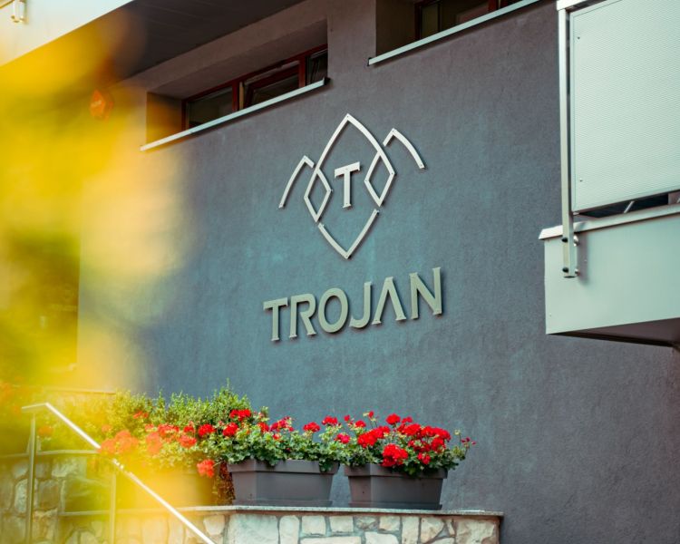 Historia|Przeszłość i współcześnie